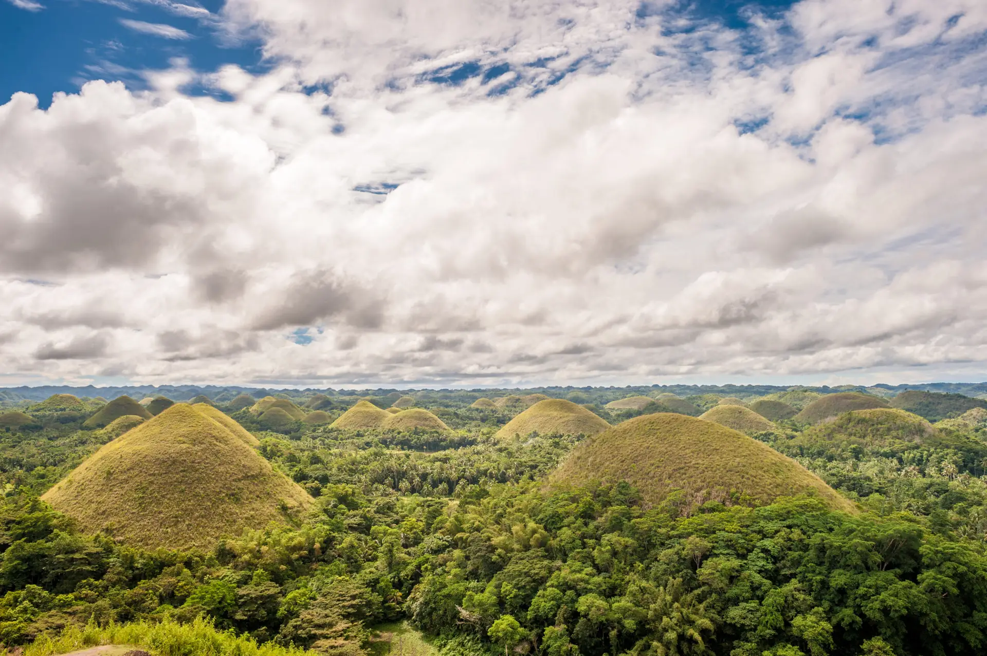 BOHOL Chocolate Hills Tour Package